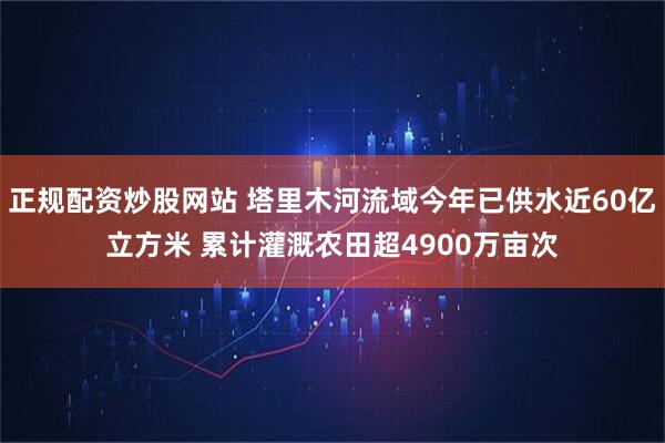 正规配资炒股网站 塔里木河流域今年已供水近60亿立方米 累计灌溉农田超4900万亩次